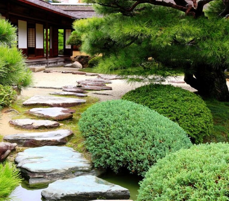 jardin zen