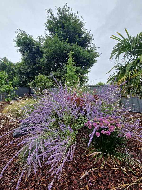 jardin fleuri à Andernos