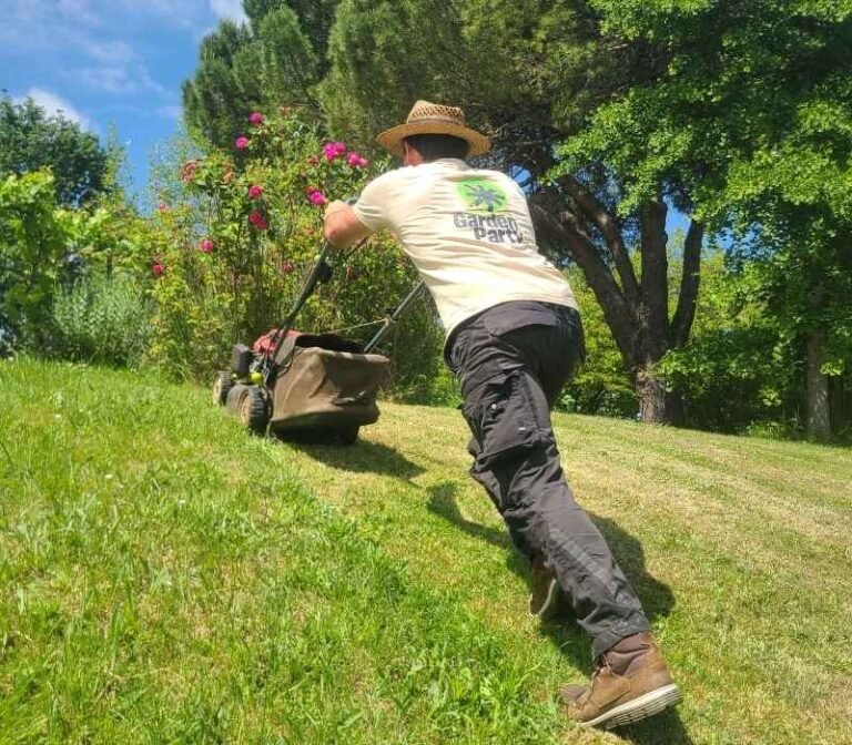 Tonte pelouse jardin