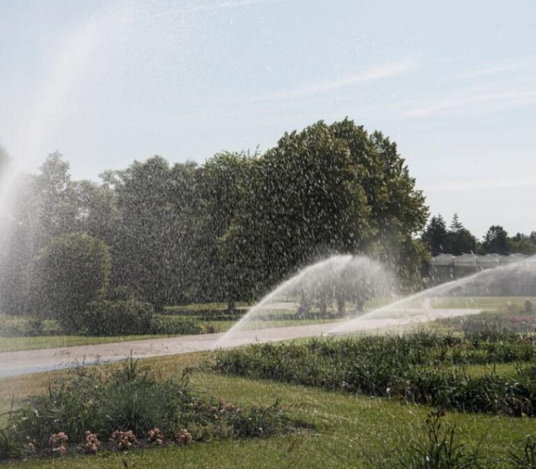 arrosage-automatique-allee-et-jardin