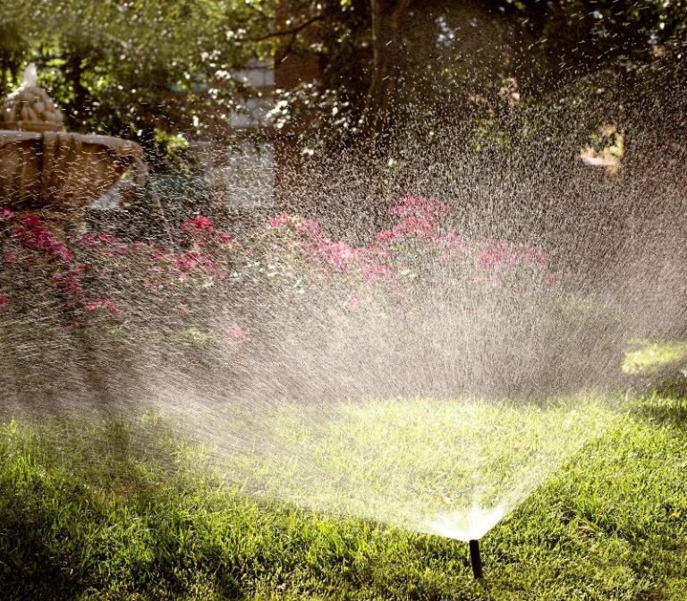 arrosage-automatique-jardin-fleuri.