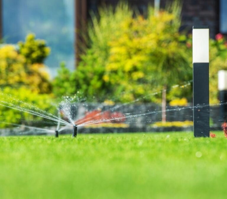 arrosage-automatique-pelouse