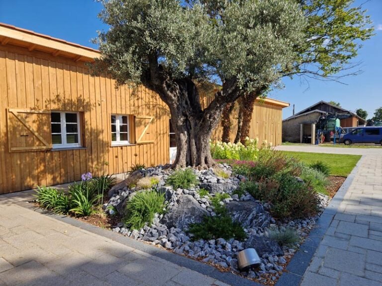 jardin fleuri maison bois