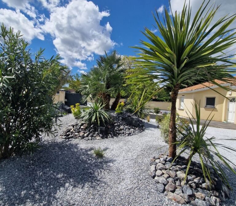 plantation arbres