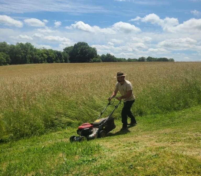 tonte pelouse jardin autour de bordeaux